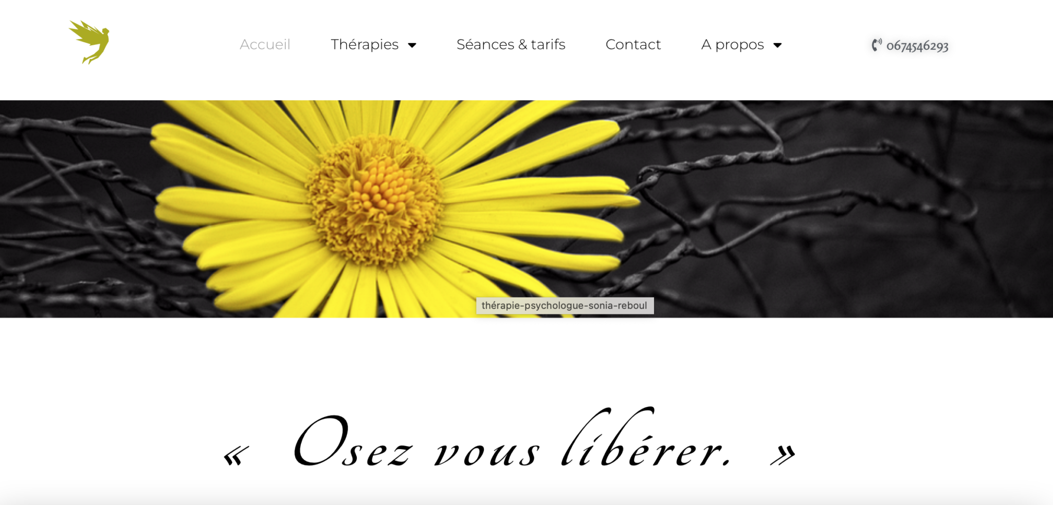 Exemple de site internet création wordpress Sonia Reboul